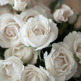 English Rose City & Country Set