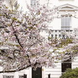 Holland Park Hand Creme