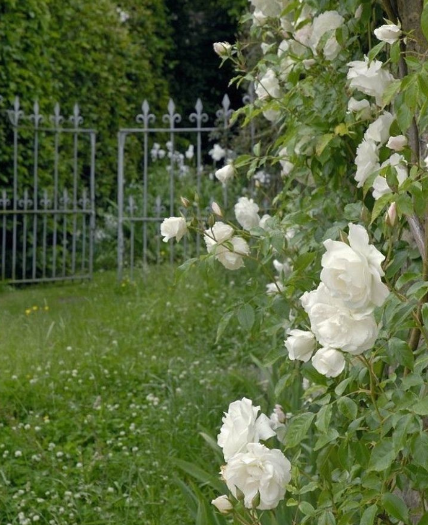 Cutting Garden Eau De Parfum, 1.45oz