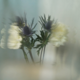 Plains of Thistle Pure Perfume Oil