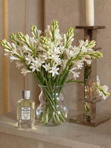 Brixton Tuberose