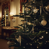 English Fir Interior Perfume - 50ml